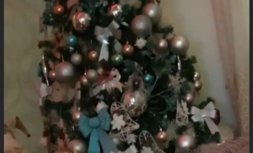 Време за фалење со новогодишните елки: Погледнете во домот на познатите – Лила, Мелита, Сузана Турунџиева, Александра Илиевска… (фото)