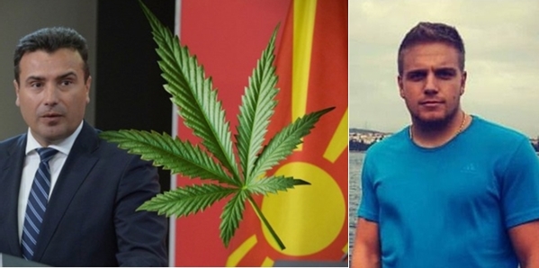 Лиценца за марихуана и за идниот зет на Заев?  (ВИДЕО)