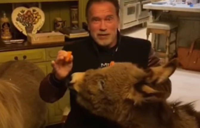 Шварценегер во изолација со пони и магаре: „Останете дома, слушајте експерти, не морони!“ (видео)