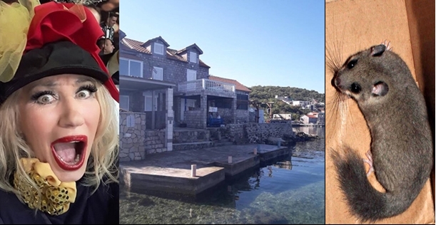 На познатата српска фолкерка глодари и го уништиле целиот мебел и ентериерот во викендичката на море (ФОТО)