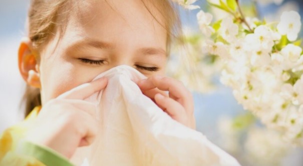 Со пролетта дојдоа и алергиите: Важни совети за луѓето кои го имаат овој проблем