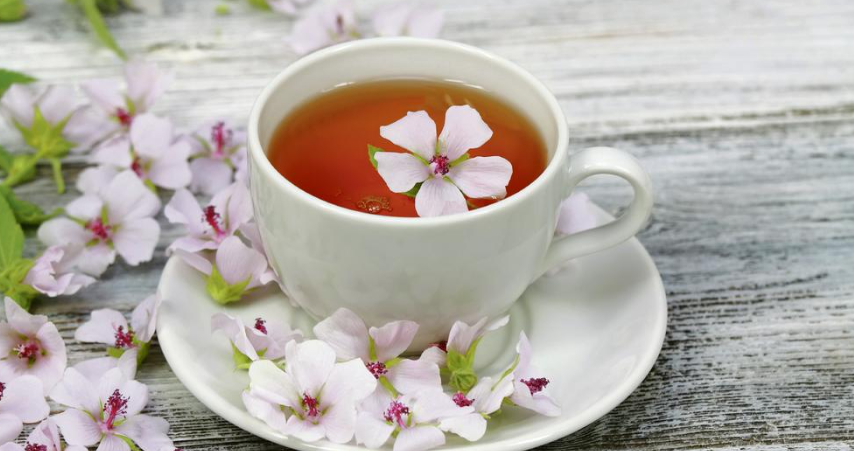 Најсилниот природен аспирин: Чајот направен од ова растение ја ублажува кашлицата и респираторните проблеми, го зајакнува имунитетот