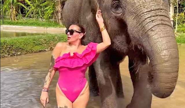 Водителката на Бали „на пракса за работа“ во зоолошка градина: Лила на капење со слонот, на месен оброк со тигарот и сладолед со орангутанот (ВИДЕО)