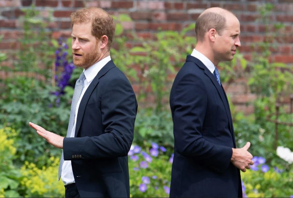 Нема простор за помирување меѓу принцовите Хари и Вилијам – еве и зошто…