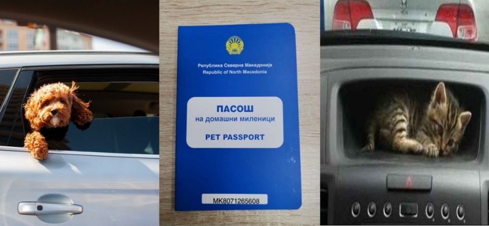 Сопствениците на домашни миленици на двојна мака: И кучињата и мачките ќе мора да патуваат со пасош со „Северна“
